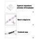 Світлодіодна стрічка WS2812B, RGB, IP30, 30 Світлодіодів/м, 5В, 1м, Біла підкладка